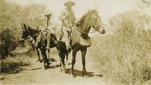 Aubrey riding 'Darky', c. 1950s. He rode until he was in his 80s. Note how they ride "long" in the stirrups. Info.