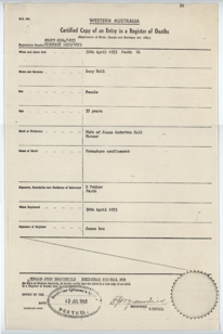 Collection of Hall family civil registration certificates - ArchivesWiki