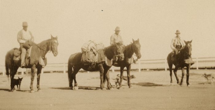 Droving in Carnarvon