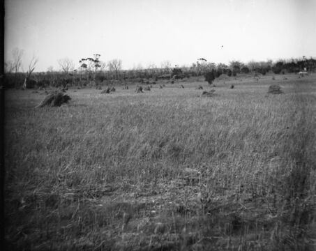 Collection of photos of Quairading - ArchivesWiki
