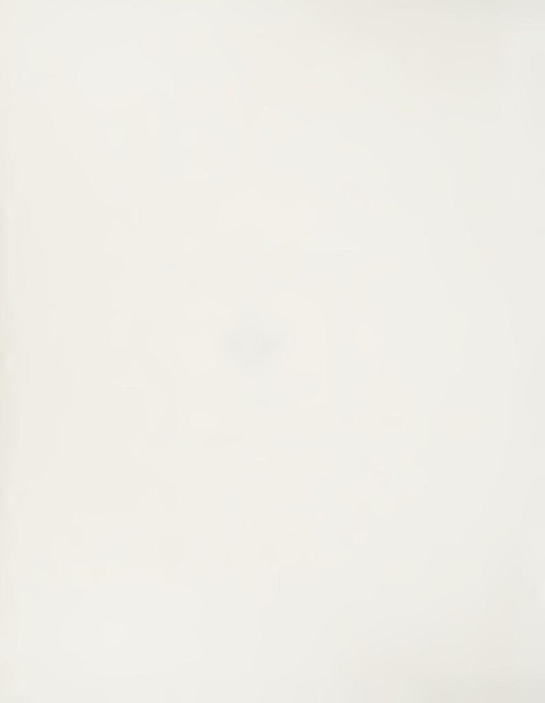 File:A Partial Vocabluary of the Ngalooma Tribe.pdf
