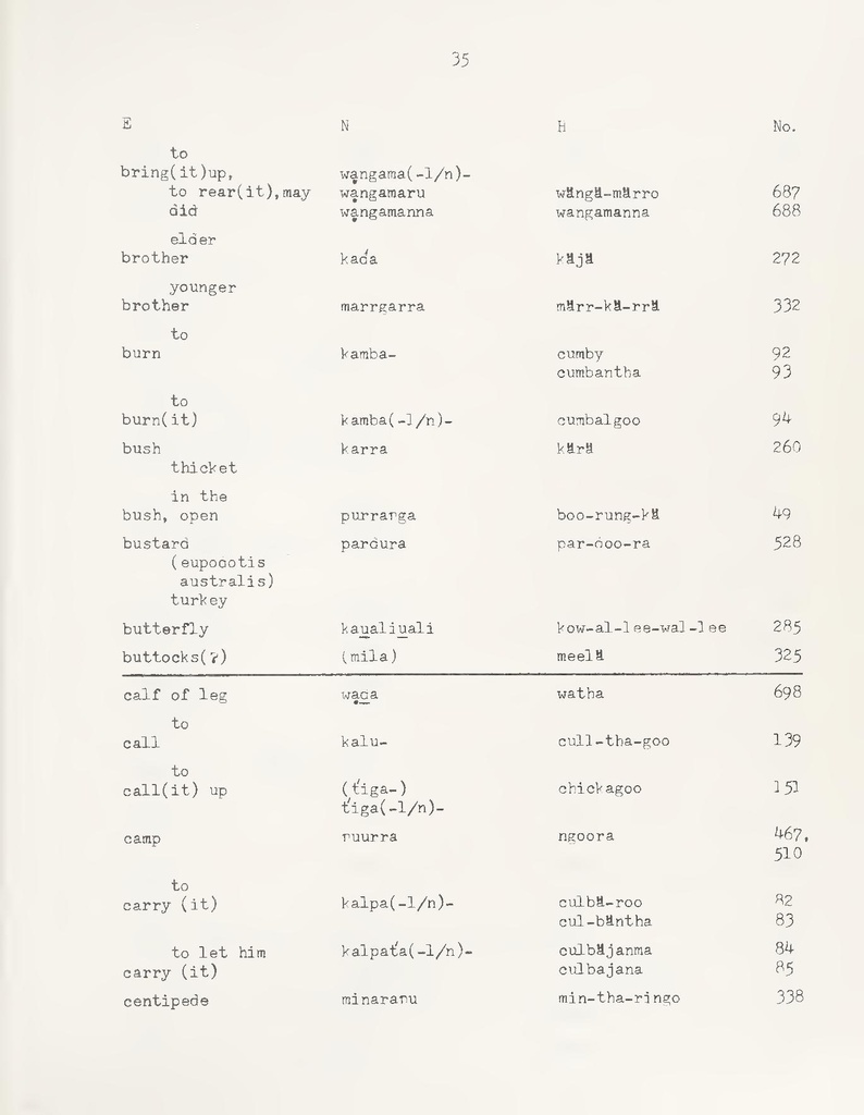 File:A Partial Vocabluary of the Ngalooma Tribe.pdf