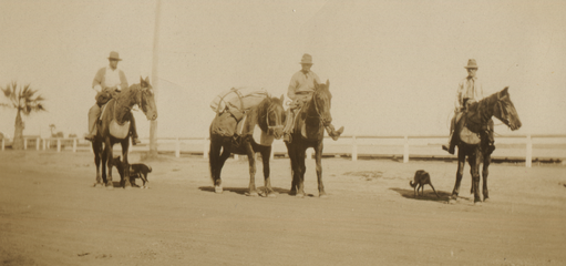 Droving in Carnarvon