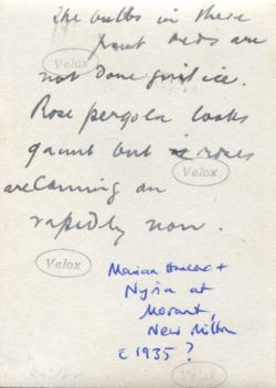 Verso