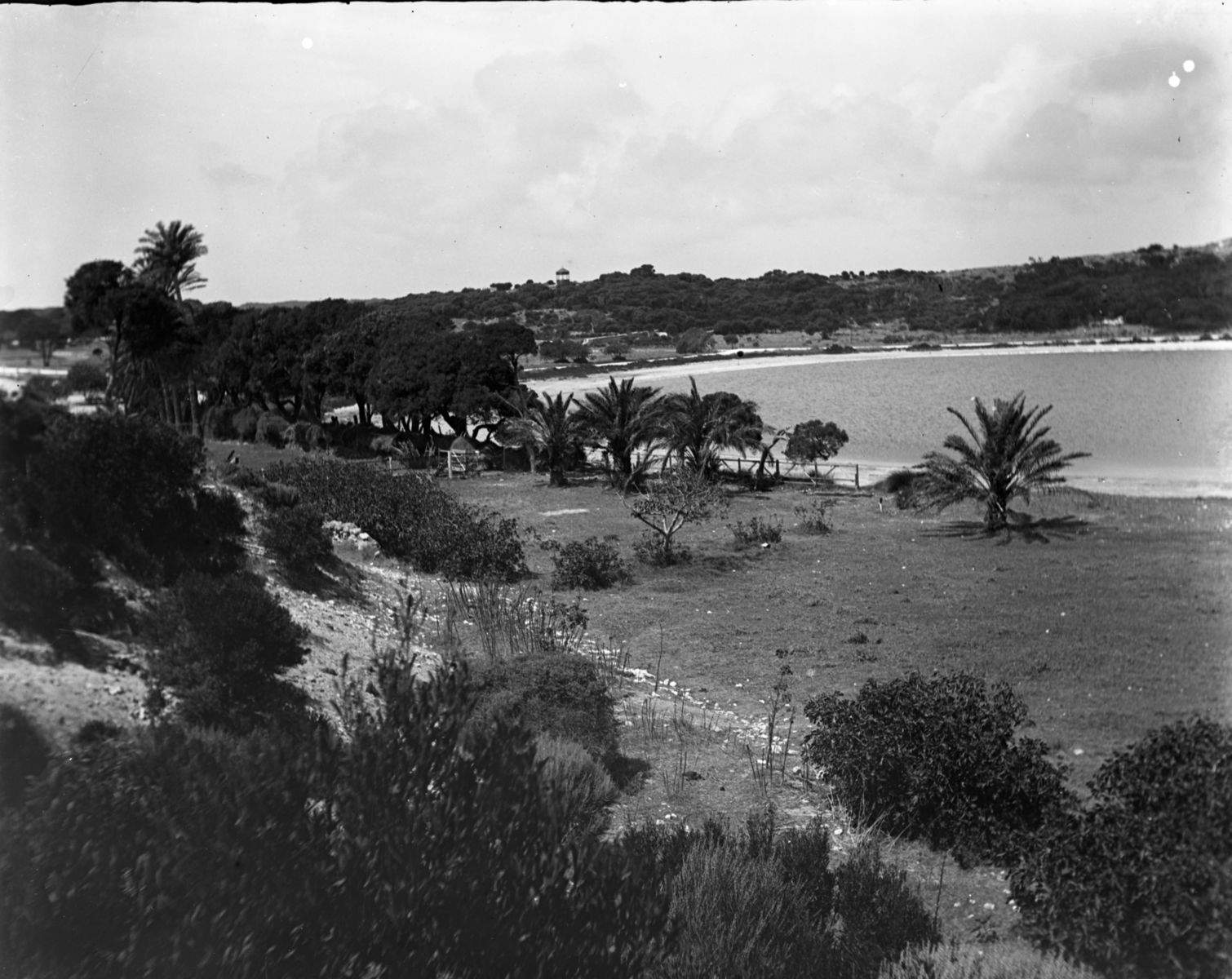 Garden Lake towards Signal Hill ArchivesWiki