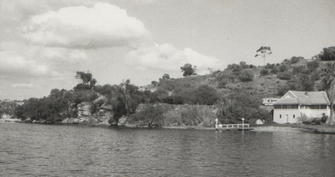 9 cropped