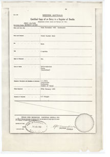 Collection of Hall family civil registration certificates - ArchivesWiki