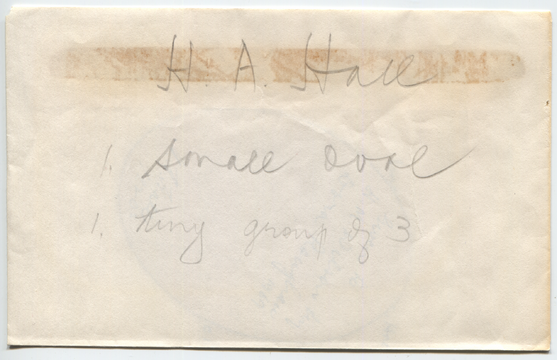 This was one of two photos in this envelope. The other was Aubrey Hall profile 1920s.