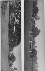 Original scan
